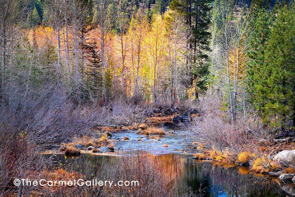 Autumn Yuba River Art | The Carmel Gallery