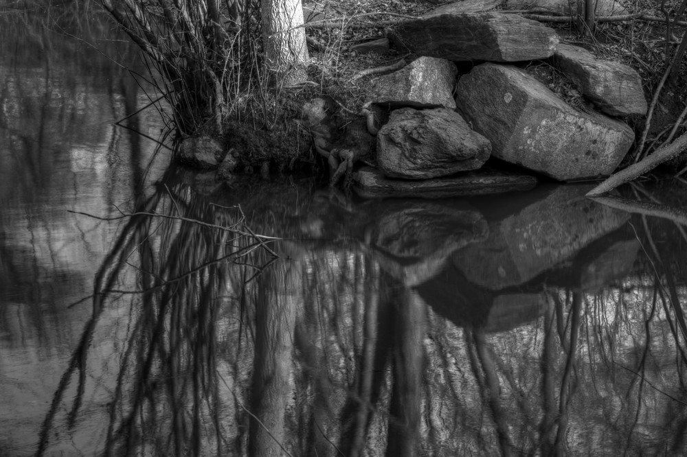 A Fine Art Black And White Photograph of Lake Whetstone Reflection by Michael Pucciarelli