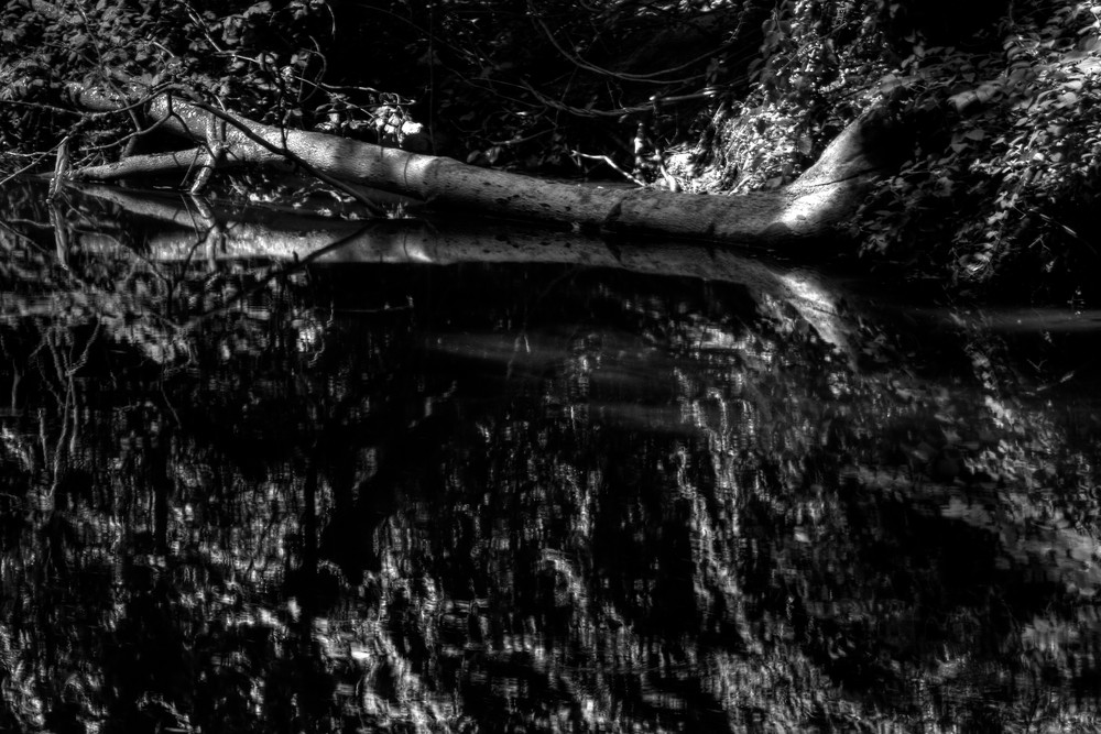Fine Art Black And White Photograph of Rock Creek Reflection by Michael Pucciarelli