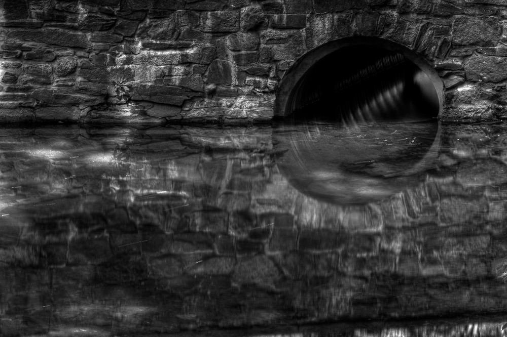 A Fine Art Black And White Photograph of Rock Creek Reflections in Washington DC by Michael Pucciarelli