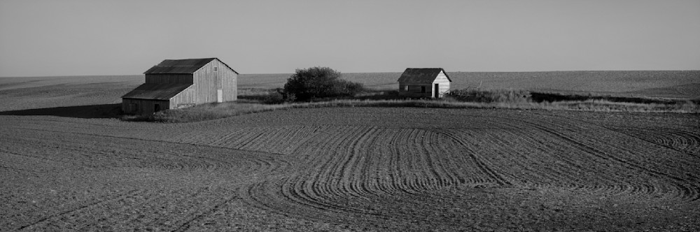 Black and White print of an old barn in a field.