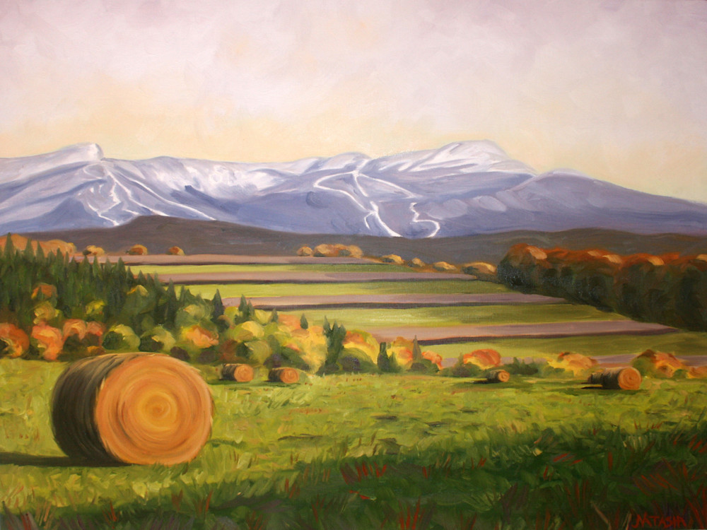 Vermont Harvest Art for Sale
