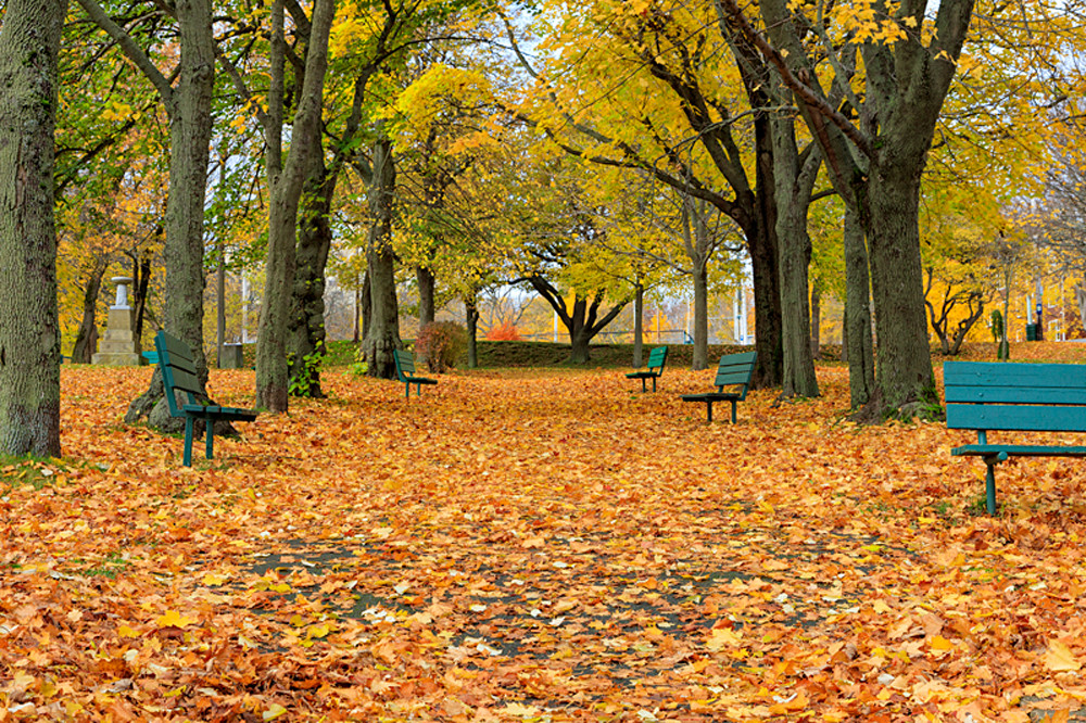 November November