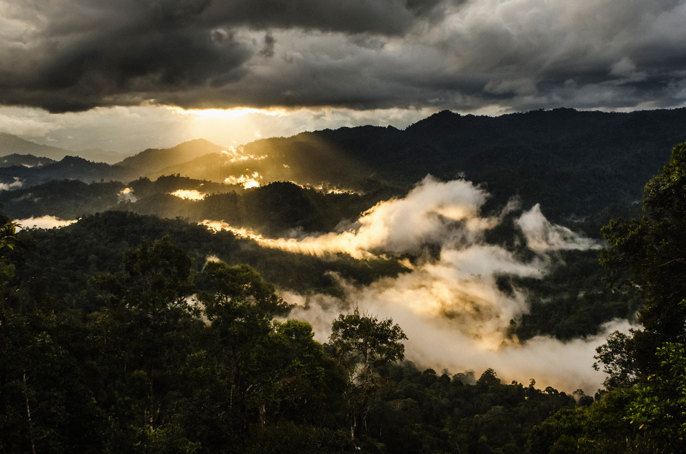 The Last Rainforest of Borneo - Photography by Varial The Last Rainforest of Borneo - Photography by Varial