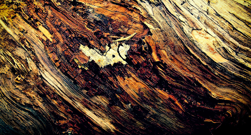 Stumped-BSouth Bryce Canyon stump along the rim trail. Stumped-BSouth Bryce Canyon stump along the rim trail.