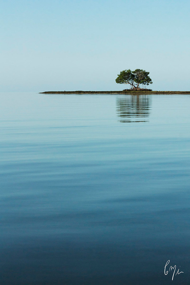 Photograph from a canoe in the gulf waters of Everglades National Park, Florida