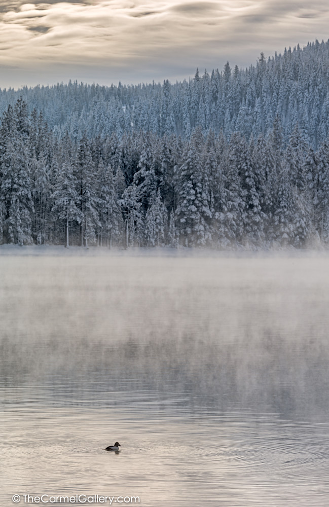 Donner Lake Mist Art | The Carmel Gallery