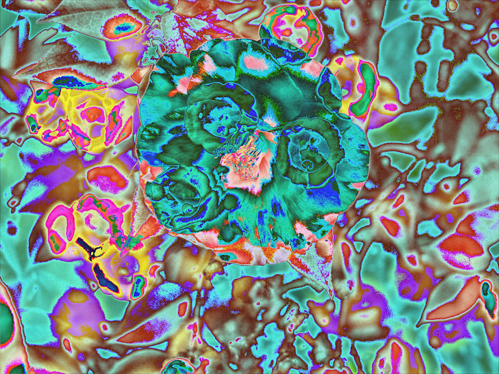 Unique Abstract Art in Chevy Chase, MD Unique Abstract Art in Chevy Chase, MD