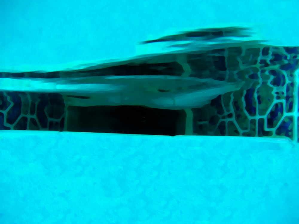 ABSTRACT COLOR PHOTO OF WATER AND WALL TILE IN SWIMMING POOL