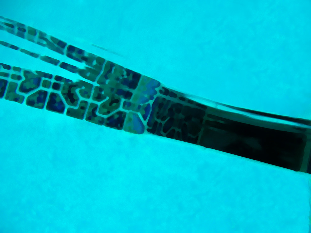 ABSTRACT UNDERWATER PHOTOGRAPH IN SWIMMING POOL OF TILE