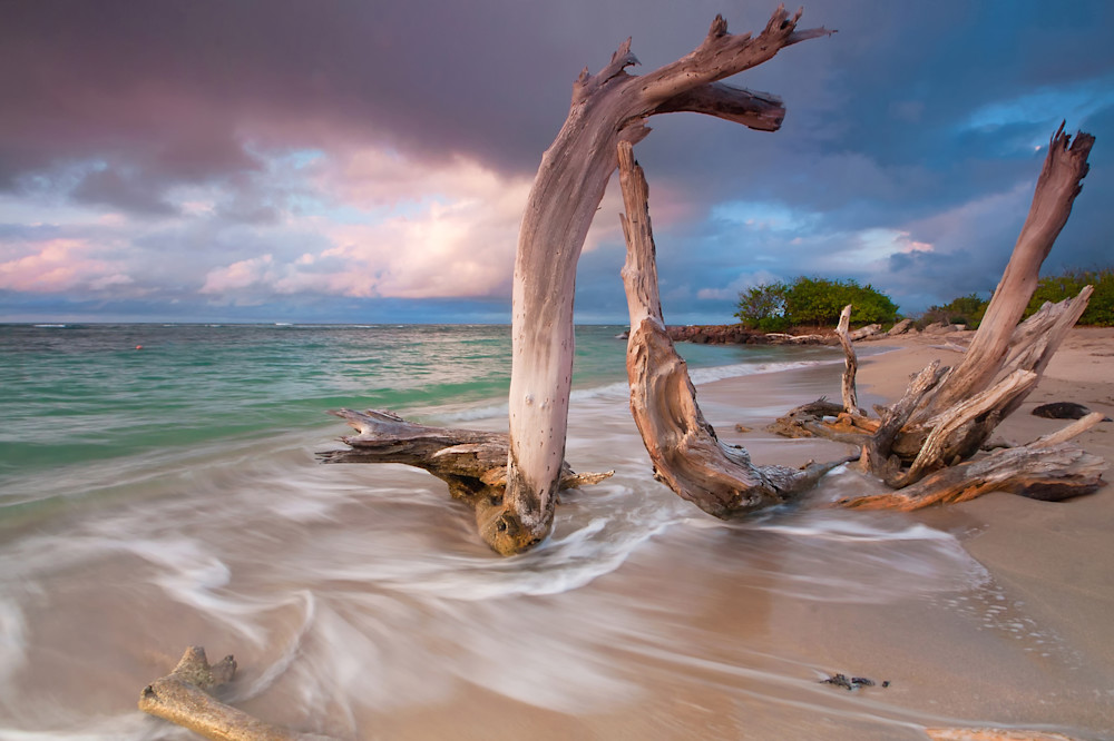 "Driftwood Sunset" Caribbean beach art photography