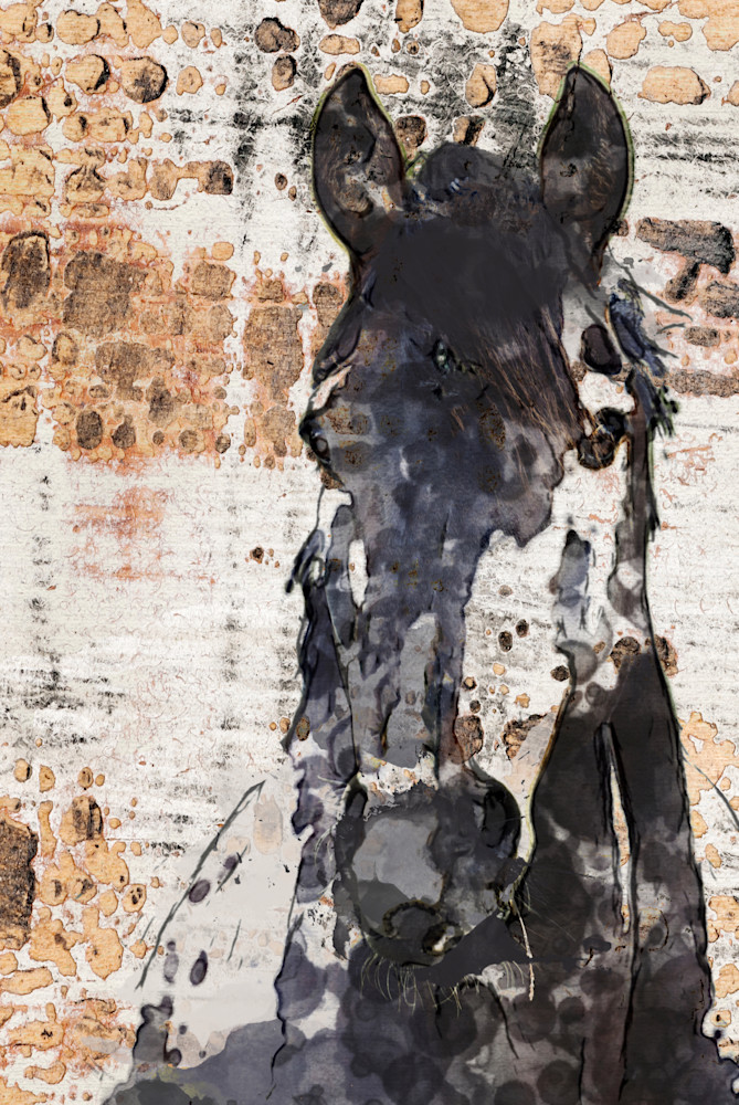 Night Knight. Horse Portrait. Equestrian Rustic Wall Art, Textured Decorative Horse Art, Farm House Wall Decor. Great Selection of Irena Orlov Horses Artworks.