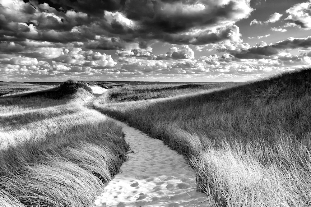 "Philbin Beach Path" Black and white Martha's Vineyard beach photograph