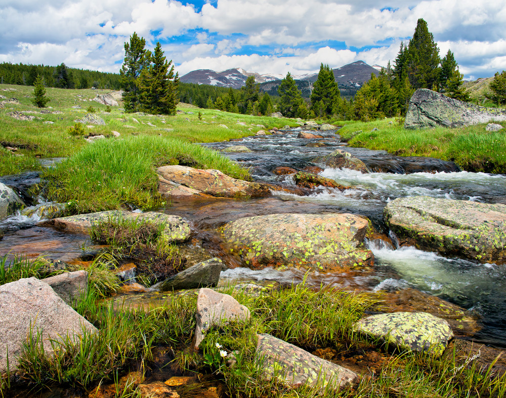 East Tensleep Creek Photography Art Dave Stoetzel