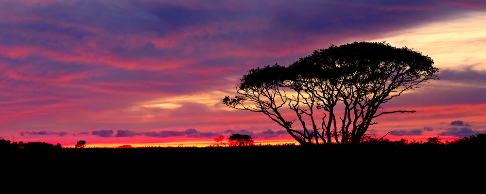 "Serengeti Sunset" - Nantucket landscape panorama photograph
