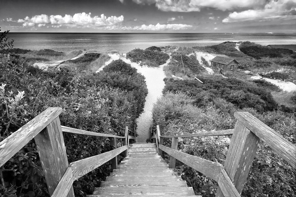"Steps to the Beach" Nantucket black and white ocean photography