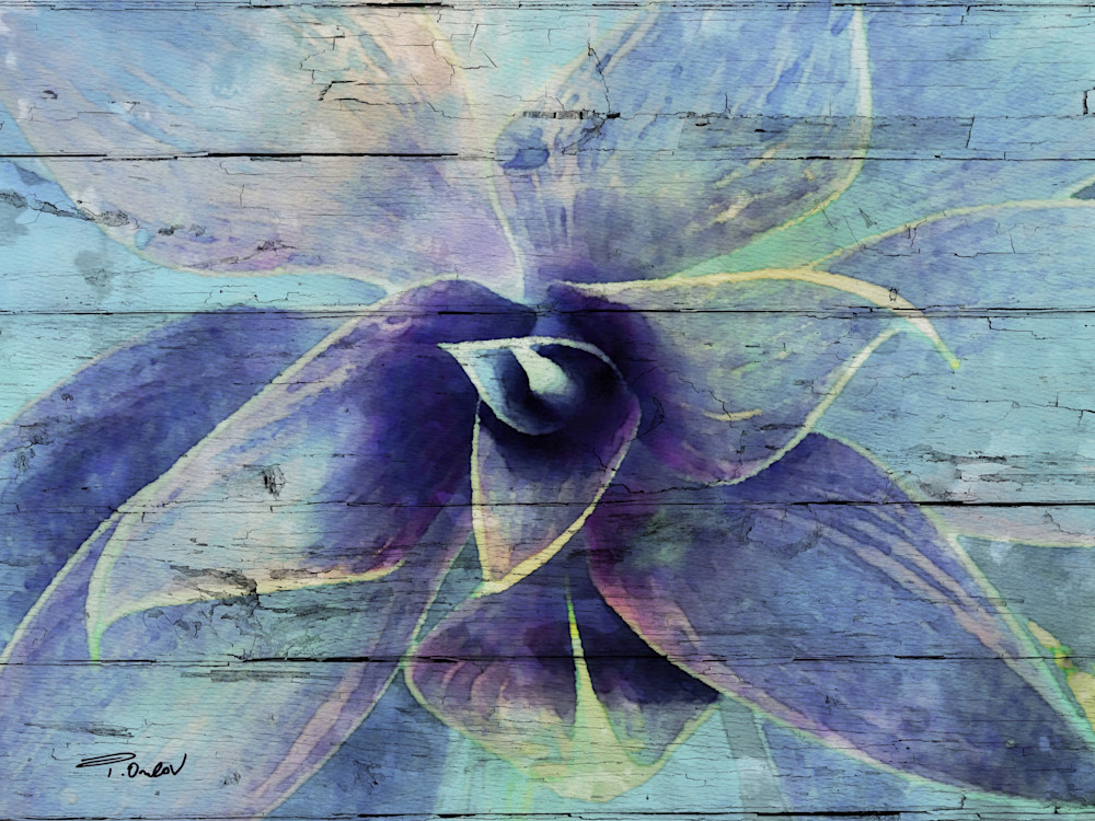 30x40 Awesome Succulent Art | Irena Orlov Art