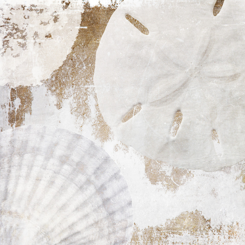 Orl 1400 White Shells Art | Irena Orlov Art