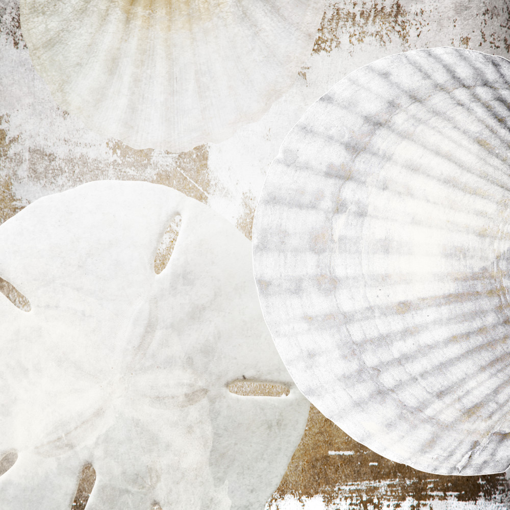 Orl 1401 White Shells Ii Art | Irena Orlov Art