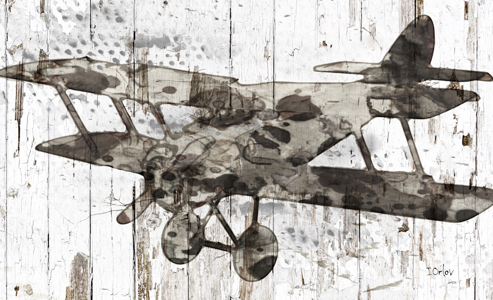 Orl 3116 Aeroplane Landing Art | Irena Orlov Art
