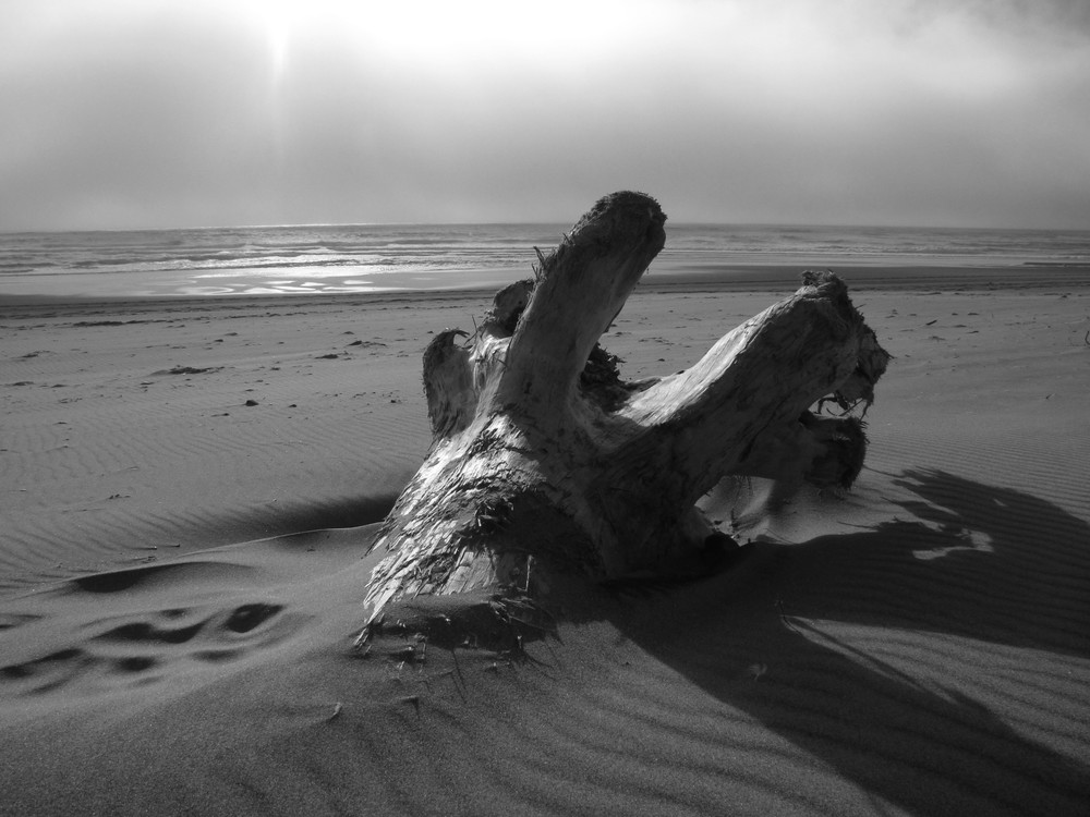 Abandoned   Oregon Coast Photography Art | Photoissimo - Fine Art Photography