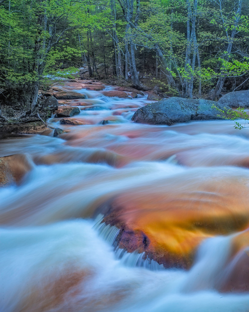 Rushing waters of the North Branch River
