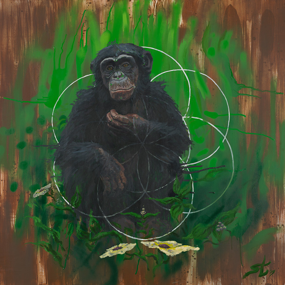 Devolve to Evolve by Steven Teller for Sale Devolve to Evolve by Steven Teller for Sale