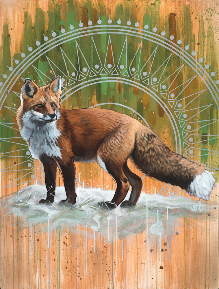 Red Fox Red Fox