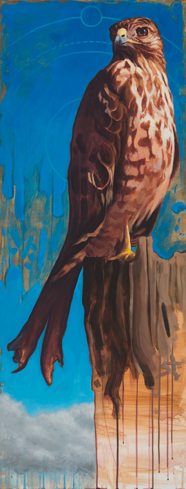 Eye of the Hawk by Steven Teller For Sale Eye of the Hawk by Steven Teller For Sale