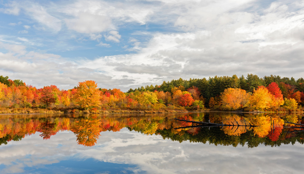 Bright blue skies autumn color at Stumpfield Marsh