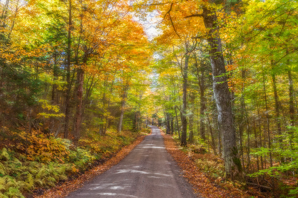 A beautiful dirt road in Henniiker, NH