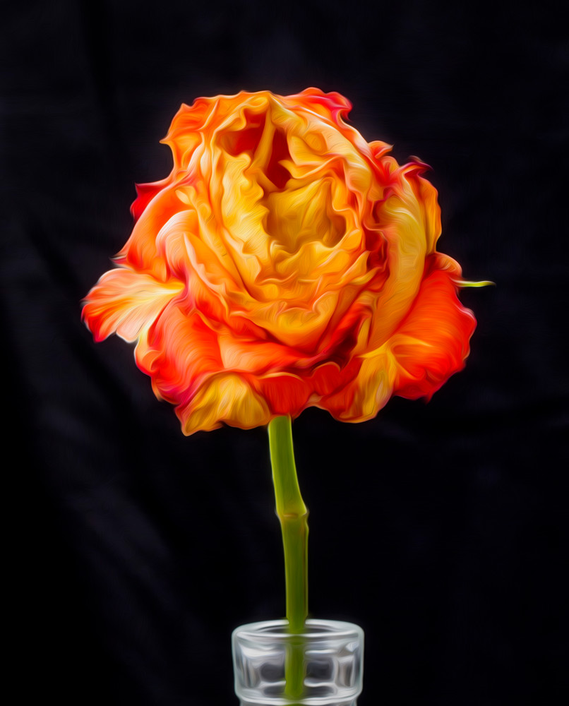 Rose - painted technique