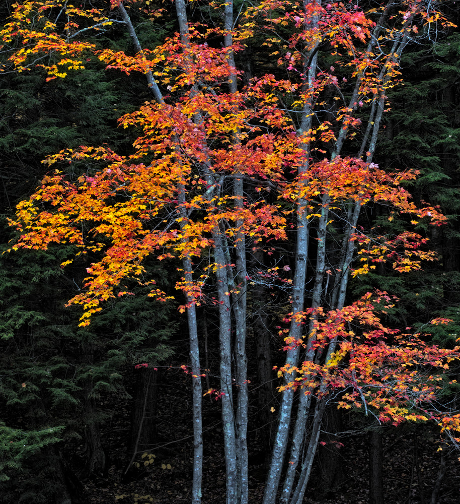 New Hampshire Autumn Foliage