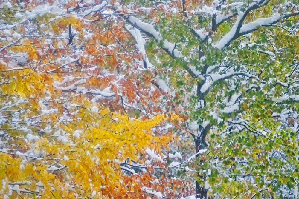Early snow on New England fall foliage