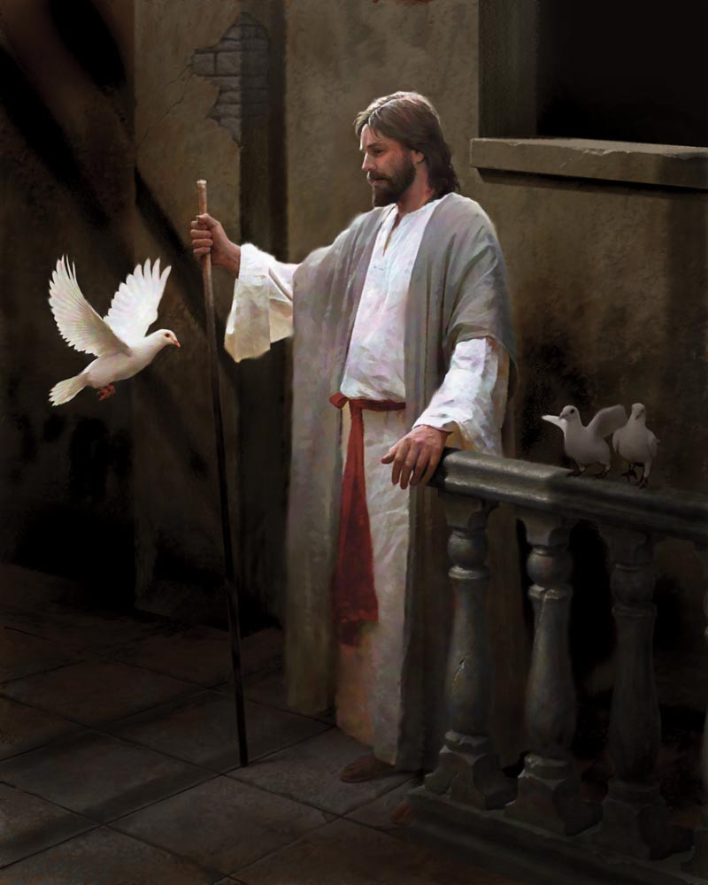 Christ and the Dove