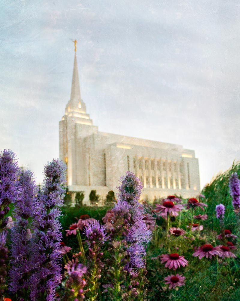 Rexburg Temple Summer Flowers