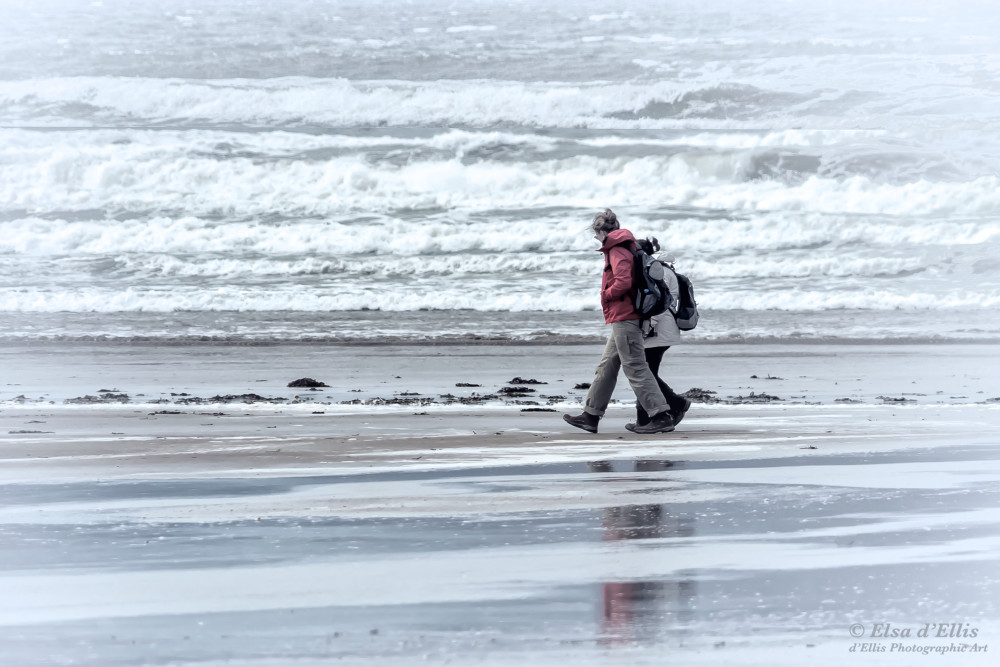 LowTide, d'Ellis Photographic Art photographs, Elsa
LowTide, d'Ellis Photographic Art photographs, Elsa