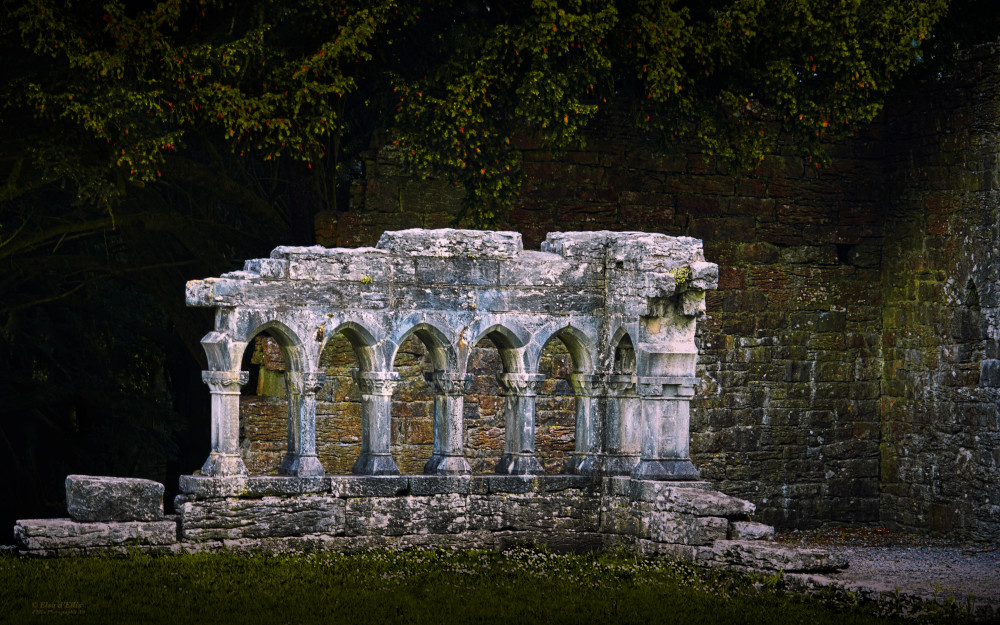 Annaghdown Priory Ruins | d'Ellis Photographic Art photographs, Elsa Annaghdown Priory Ruins | d'Ellis Photographic Art photographs, Elsa