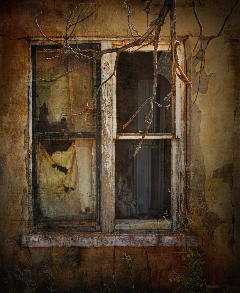 Left Behind | d'Ellis Photographic Art photographs, Elsa Left Behind | d'Ellis Photographic Art photographs, Elsa