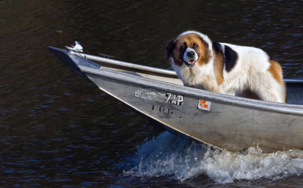 Easy Search and Rescue, d'Ellis Photographic Art photographs, Bill Easy Search and Rescue, d'Ellis Photographic Art photographs, Bill
