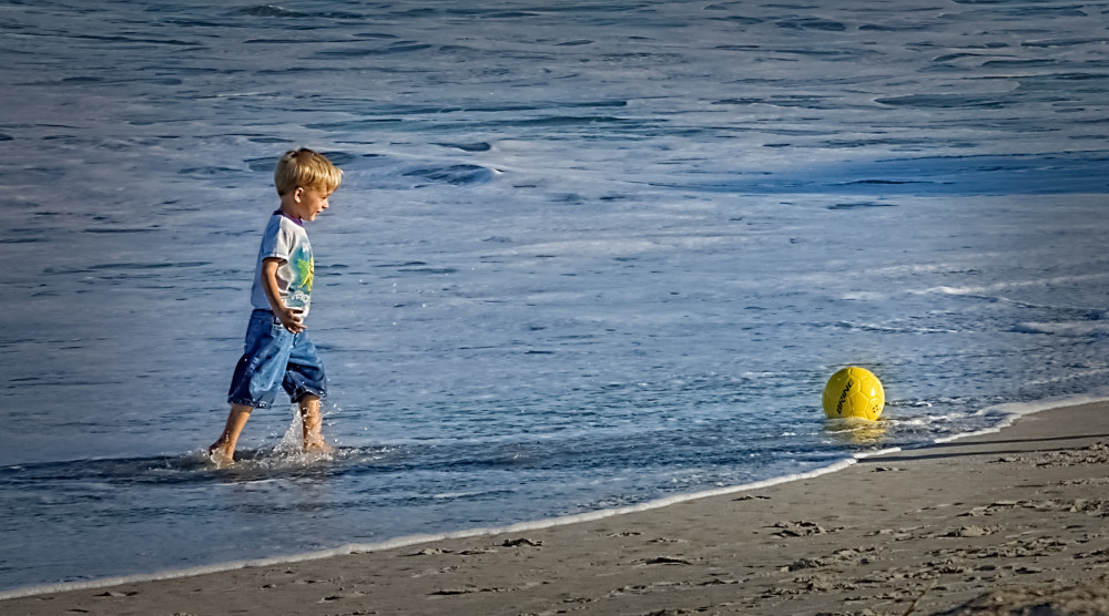 There's My Ball!, d'Ellis Photographic Art photographs, Bill
There's My Ball!, d'Ellis Photographic Art photographs, Bill