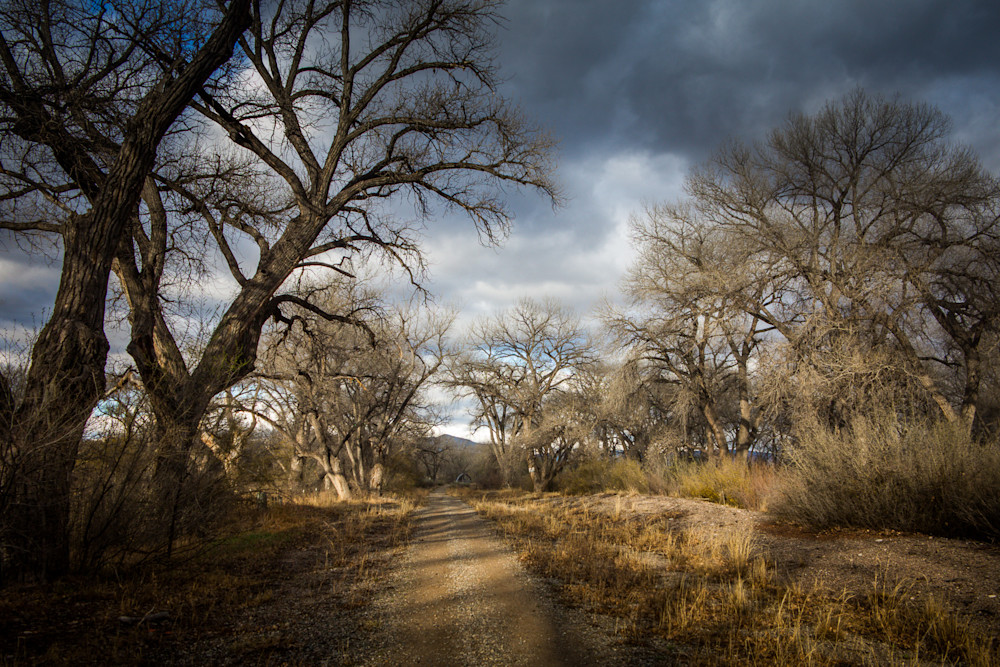 Cottonwoods, Landscape, New Mexico, Photography, Southwest, Espanola