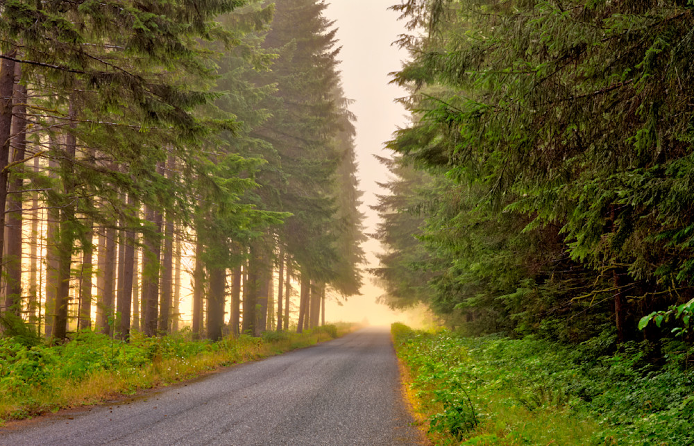 Early Morning On The Road Photography Art | frednewmanphotography