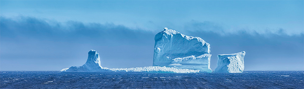 Ferryland Beast - Iceberg