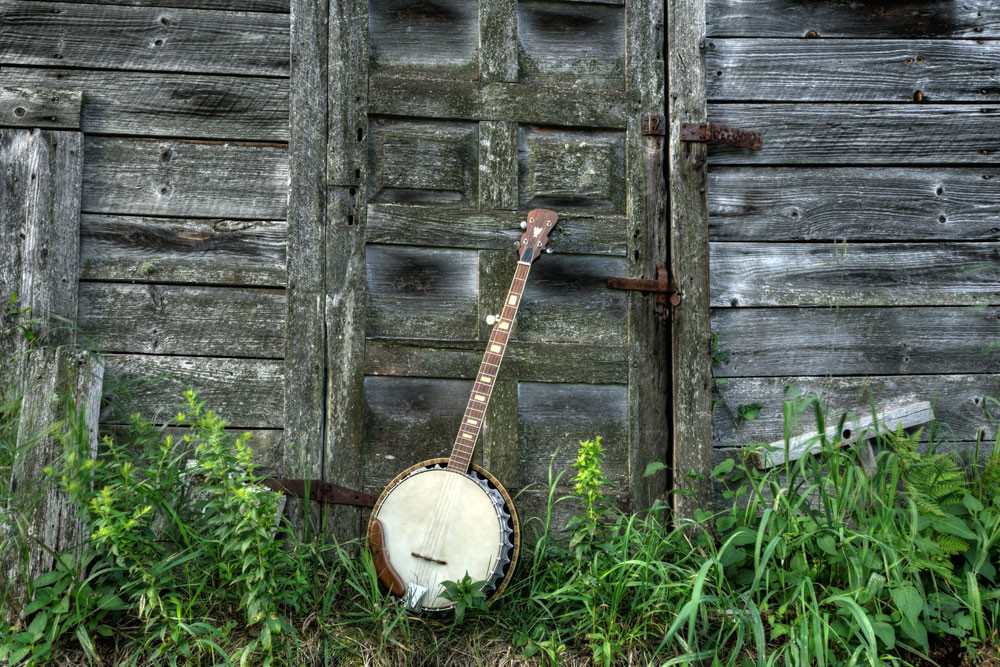 Wilmington Banjo Art | Instrumental Art