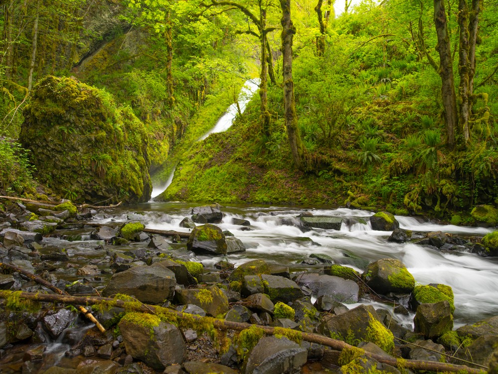  Columbia River Gorge Img3174 2 Photography Art | Foretography