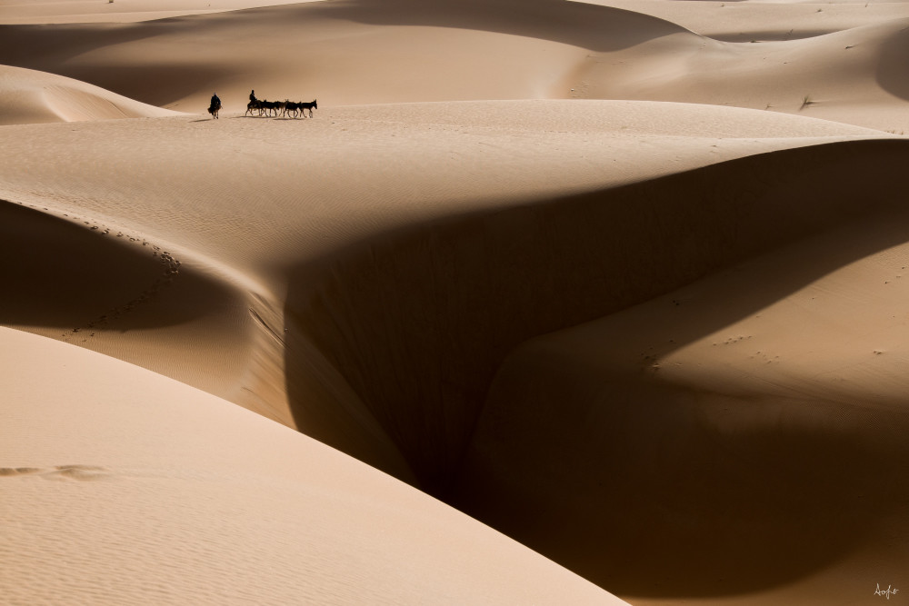 donkey caravan on Mauritania sand dunes, fine art aluminum photograph art