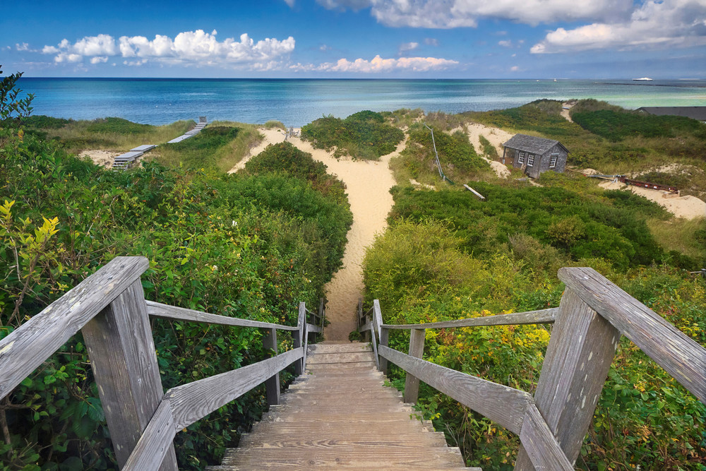 "Steps Beach" - Fine Art Large Nantucket Coastal Dunes Photograph