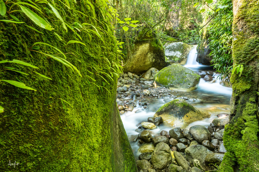 fine art photograph of green mossy landscape with waterfall in the background