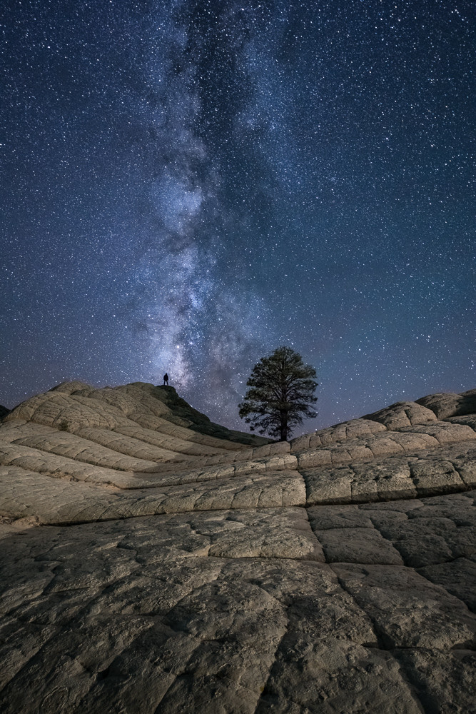 Milky Way at the Lone Tree Photograph for Sale as Fine Art
